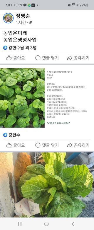 준영농장 출석왕.님의 11월 내 작물 자랑하기 · 참여글 작성글 사진