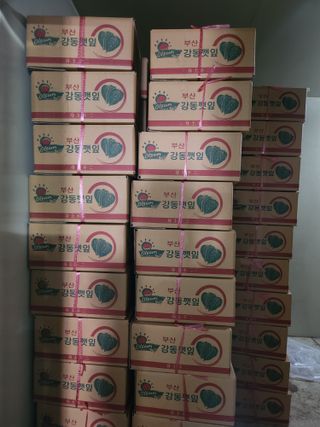 준영농장 출석왕.님의 11월 내 작물 자랑하기 · 참여글 작성글 사진