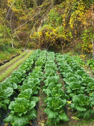 세종키다리님의 자유주제 · 자유게시판 작성글 사진