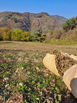 팜모닝 11월 내 작물 자랑하기·참여글 게시글 이미지