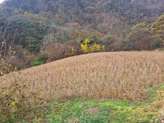 Ko01647283님의 11월 내 작물 자랑하기 · 참여글 작성글 사진