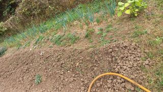 초보 구찌뽕님의 파 · 자유게시판 작성글 사진