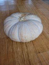 팜모닝 11월 내 작물 자랑하기·참여글 게시글 이미지