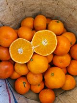 팜모닝 11월 내 작물 자랑하기·참여글 게시글 이미지