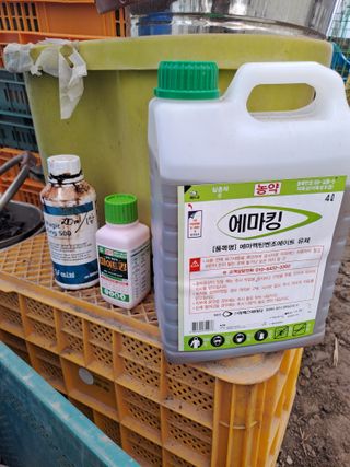 성기철님의 오이 · 영농일지 작성글 사진