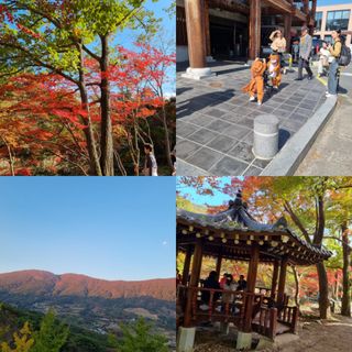 박종례님의 자유주제 · 자유게시판 작성글 사진