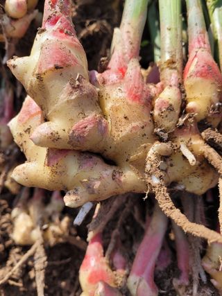 김금자님의 자유주제 · 자유게시판 작성글 사진