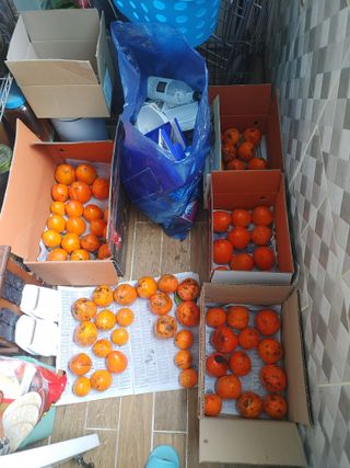 이현상님의 자유주제 · 자유게시판 작성글 사진