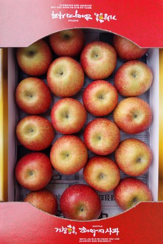 철남 김희곤님의 11월 내 작물 자랑하기 · 참여글 작성글 사진