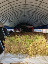 팜모닝 11월 내 작물 자랑하기·참여글 게시글 이미지