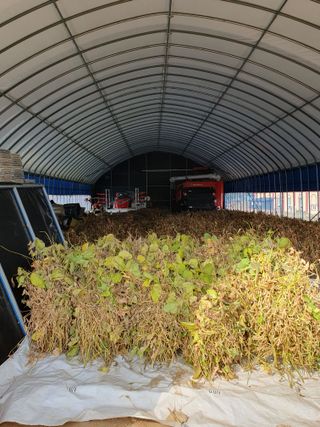 이동준님의 11월 내 작물 자랑하기 · 참여글 작성글 사진