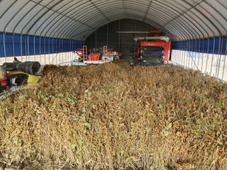 이동준님의 11월 내 작물 자랑하기 · 참여글 작성글 사진