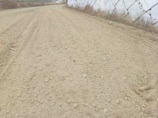 오영도님의 자유주제 · 자유게시판 작성글 사진