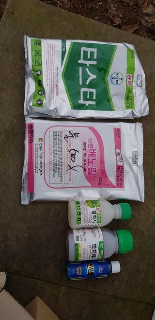 김창수님의 기타작물 · 영농일지 작성글 사진