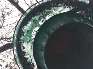 금동이네님의 자유주제 · 자유게시판 작성글 사진