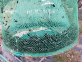 금동이네님의 자유주제 · 자유게시판 작성글 사진