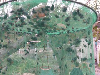 금동이네님의 자유주제 · 자유게시판 작성글 사진