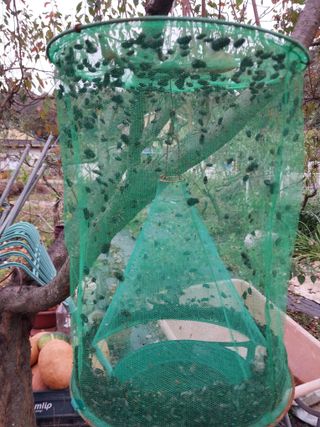 금동이네님의 자유주제 · 자유게시판 작성글 사진