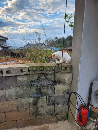 김저팔계님의 기타작물 · 영농일지 작성글 사진