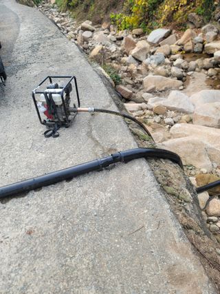 푸른눈늑대님의 양파 · 자유게시판 작성글 사진