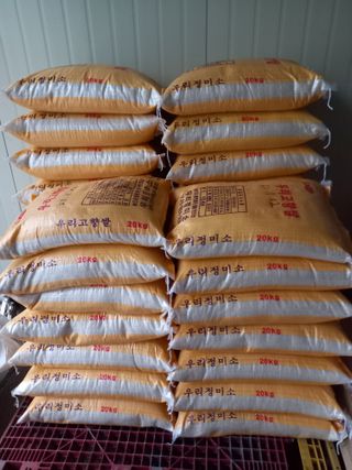 팜모닝회원 김광수님의 작성글 사진