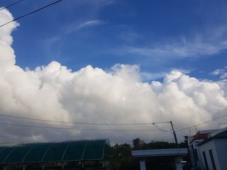 딴딴님의 우리동네 · 동네수다 작성글 사진