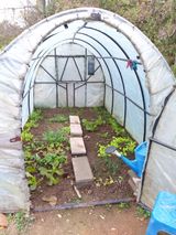 팜모닝 양배추·영농일지 게시글 이미지