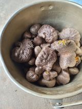 팜모닝 기타작물·자유게시판 게시글 이미지