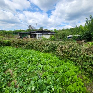 방촌대장님의 작성글 사진