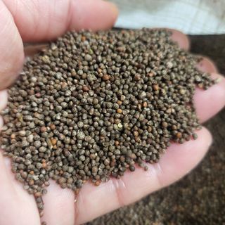 방촌대장님의 작성글 사진