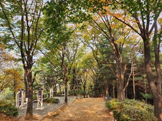 together님의 11월 내 작물 자랑하기 · 참여글 작성글 사진