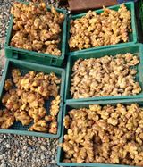 소학도토리님의 배추·결구기 농작업 작성글 사진