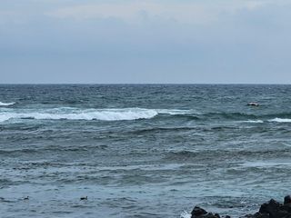 선물차롱님의 귤 · 일상 작성글 사진