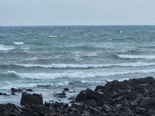 선물차롱님의 귤 · 일상 작성글 사진