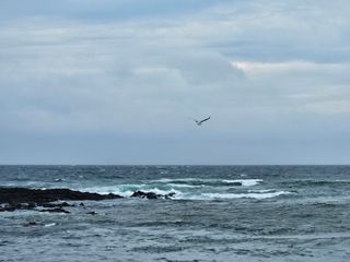 선물차롱님의 귤 · 일상 작성글 사진