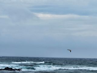 선물차롱님의 귤 · 일상 작성글 사진