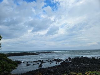 선물차롱님의 귤 · 일상 작성글 사진