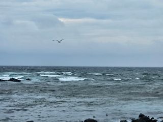 선물차롱님의 귤 · 일상 작성글 사진