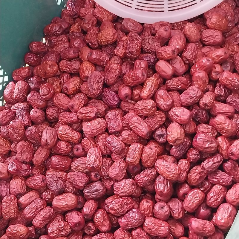 장터 상품 [보은 건대추] 썸네일