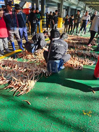 노가네수산님의 우리동네 · 동네정보 작성글 사진
