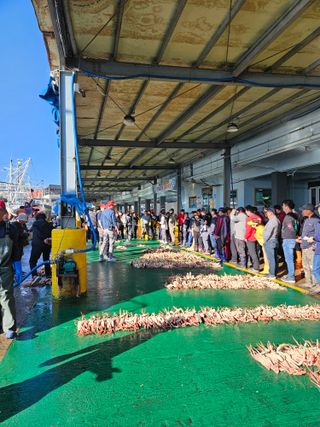 노가네수산님의 우리동네 · 동네정보 작성글 사진