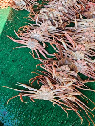 노가네수산님의 우리동네 · 동네정보 작성글 사진