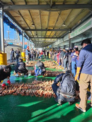 노가네수산님의 우리동네 · 동네정보 작성글 사진