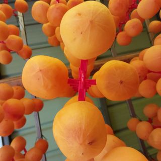 박수연님의 감 · 자유게시판 작성글 사진