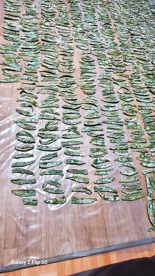 박병조님의 11월 내 작물 자랑하기 · 참여글 작성글 사진