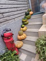 팜모닝 11월 내 작물 자랑하기·참여글 게시글 이미지