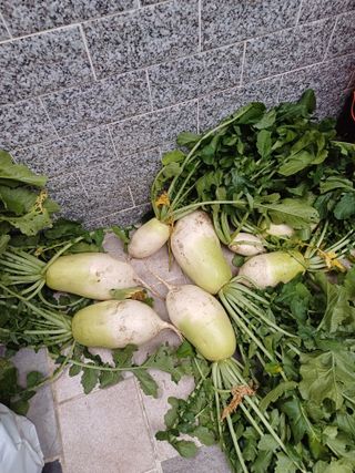 김 연님의 11월 내 작물 자랑하기 · 참여글 작성글 사진