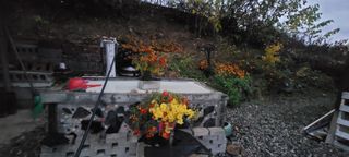 소데카님의 자유주제 · 자유게시판 작성글 사진