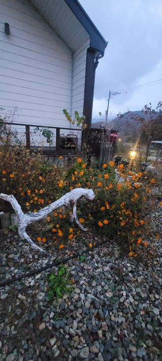 소데카님의 자유주제 · 자유게시판 작성글 사진