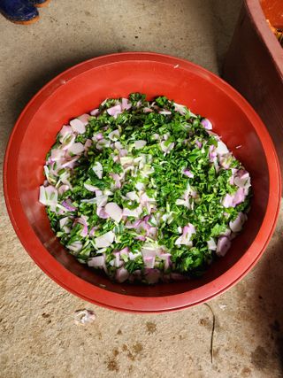 청송농장16987님의 자유주제 · 자유게시판 작성글 사진